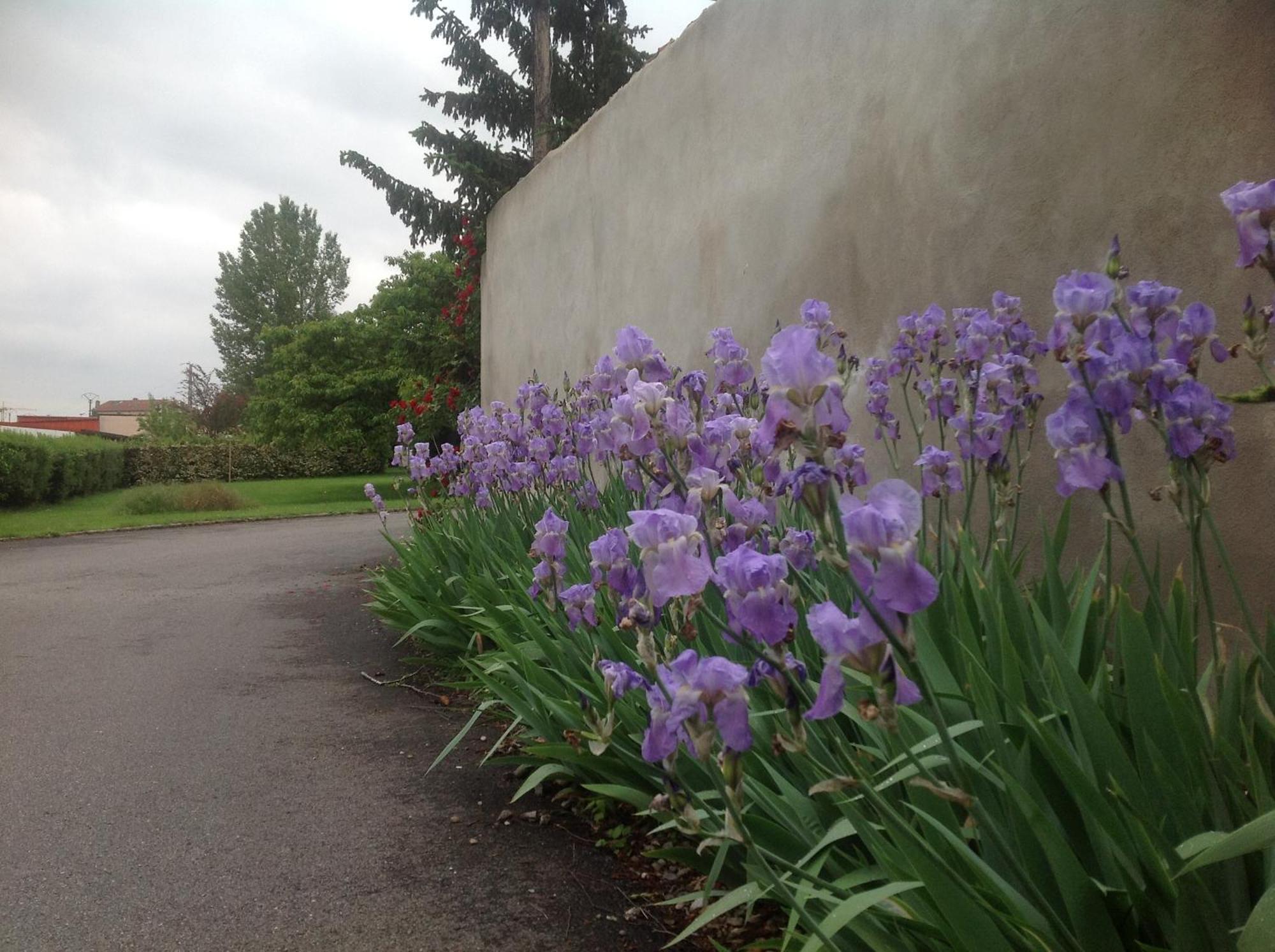 Hotel Vulcain LʼHorme Zewnętrze zdjęcie