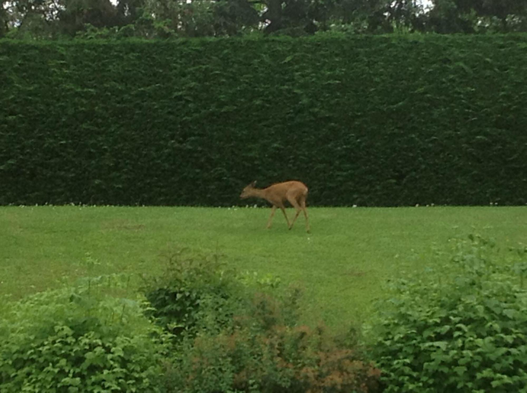 Hotel Vulcain LʼHorme Zewnętrze zdjęcie